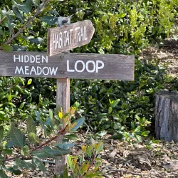 Shipley Nature Center - Huntington Beach