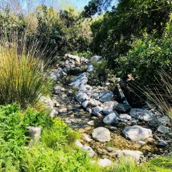 Shipley Nature Center - Huntington Beach