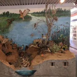 Shipley Nature Center - Huntington Beach