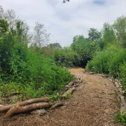Shipley Nature Center - Huntington Beach