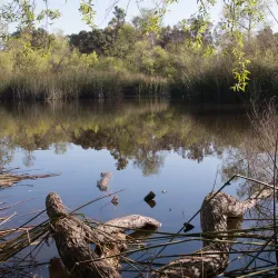 Shipley Nature Center - Huntington Beach