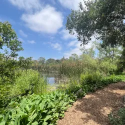 Shipley Nature Center - Huntington Beach