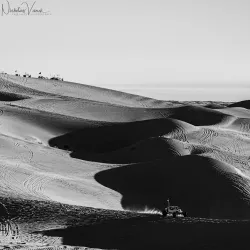 Algodones Dunes - Imperial
