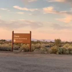 Cibola National Wildlife Refuge - Imperial