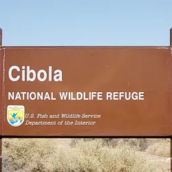 Cibola National Wildlife Refuge - Imperial