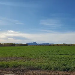 Cibola National Wildlife Refuge - Imperial