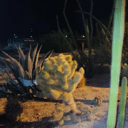 Imperial Valley Desert Museum - Imperial