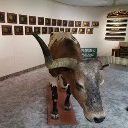 Imperial Valley Pioneers Museum - Imperial