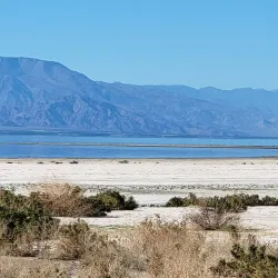 Salton Sea State Recreation Area - Imperial