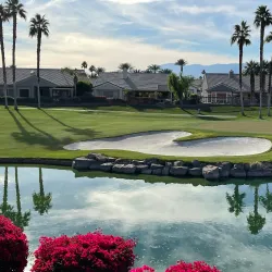 Sun City Palm Desert Golf Course - Indio
