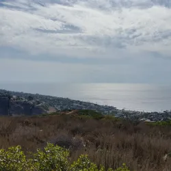 Bommer Canyon - Irvine