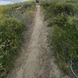 Bommer Canyon - Irvine