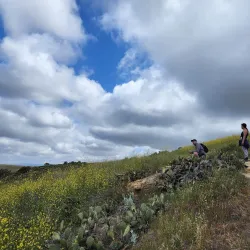 Bommer Canyon - Irvine