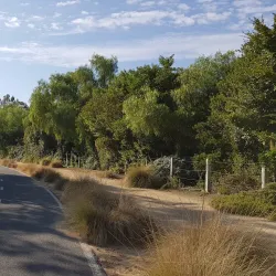 Bommer Canyon - Irvine