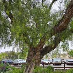 Irvine Historical Museum - Irvine