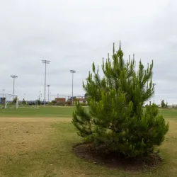 Orange County Great Park - Irvine