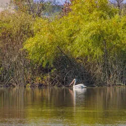 San Joaquin Wildlife Sanctuary - Irvine