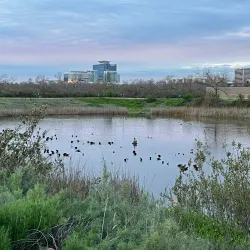 San Joaquin Wildlife Sanctuary - Irvine