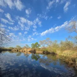 San Joaquin Wildlife Sanctuary - Irvine