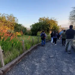 University of California, Irvine (UCI) Arboretum - Irvine