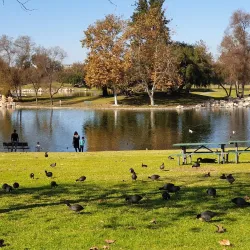 William R. Mason Regional Park - Irvine