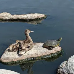 William R. Mason Regional Park - Irvine