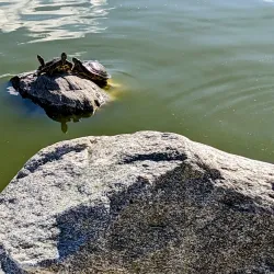 William R. Mason Regional Park - Irvine