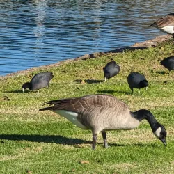 William R. Mason Regional Park - Irvine