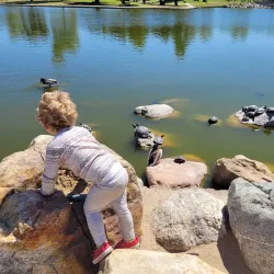 William R. Mason Regional Park - Irvine