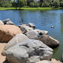 William R. Mason Regional Park - Irvine