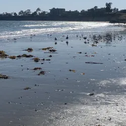 Campus Point - Isla Vista