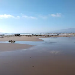 Coal Oil Point Reserve - Isla Vista