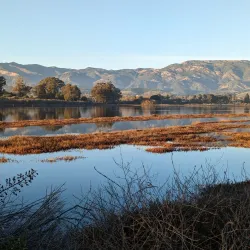 Coal Oil Point Reserve - Isla Vista