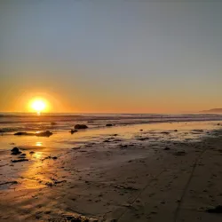 Coal Oil Point Reserve - Isla Vista