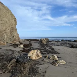 Coal Oil Point Reserve - Isla Vista