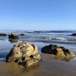 Coal Oil Point Reserve - Isla Vista