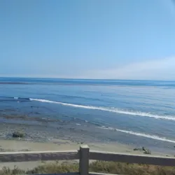 Coal Oil Point Reserve - Isla Vista