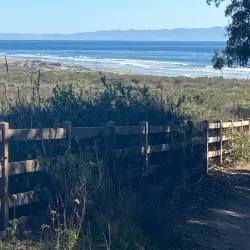 Coal Oil Point Reserve - Isla Vista