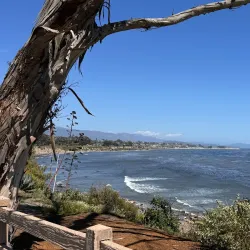 Coal Oil Point Reserve - Isla Vista