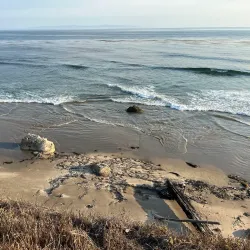 Isla Vista Beach - Isla Vista