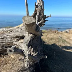 Isla Vista Beach - Isla Vista