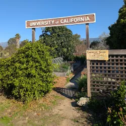 IV Community Garden - Isla Vista