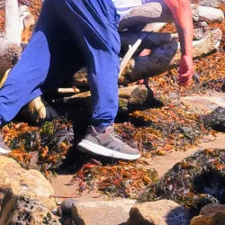 IV Community Garden - Isla Vista