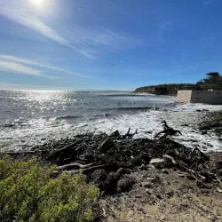 University of California, Santa Barbara (UCSB) Campus - Isla Vista