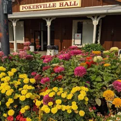 Amador County Fairgrounds - Jackson