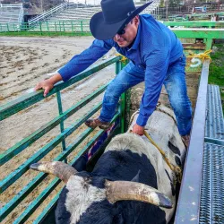 Amador County Fairgrounds - Jackson