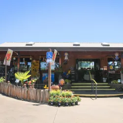 Amador Flower Farm - Jackson