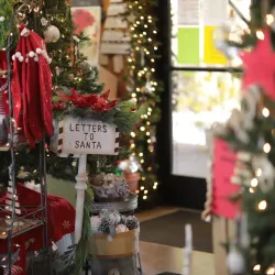 Amador Flower Farm - Jackson