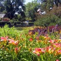 Amador Flower Farm - Jackson