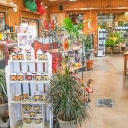 Amador Flower Farm - Jackson